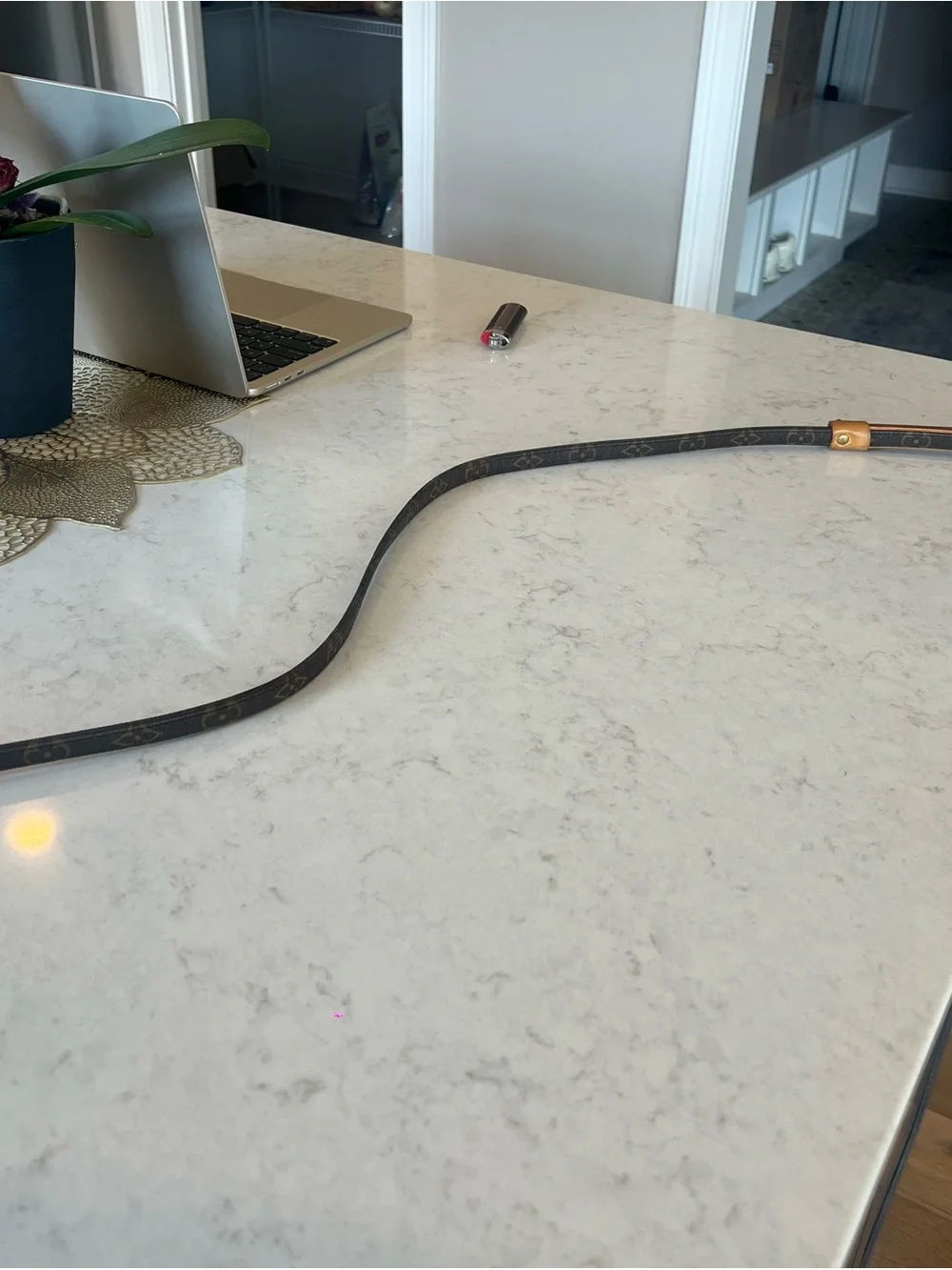 Louis Vuitton Monogram Leather Dog Leash in Brown and Tan